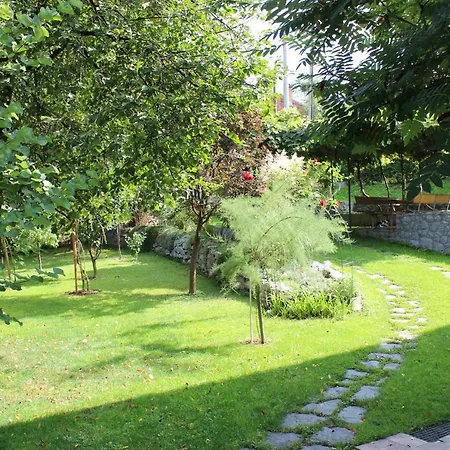 Garden *