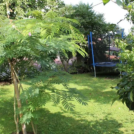 Garden * Hadžići